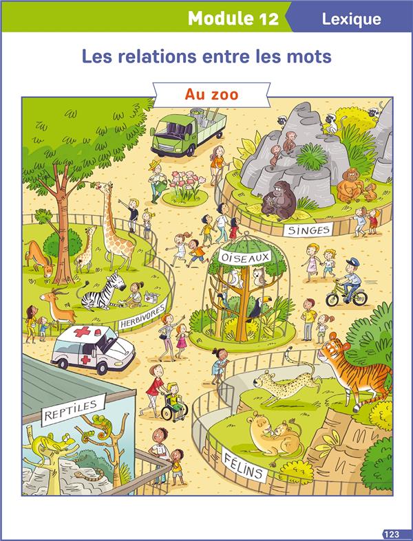 FRANCAIS EXPLICITE CE1 - POSTERS - ED. 2019