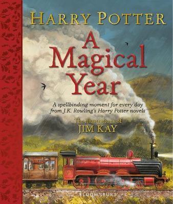 HARRY POTTER: A MAGICAL YEAR