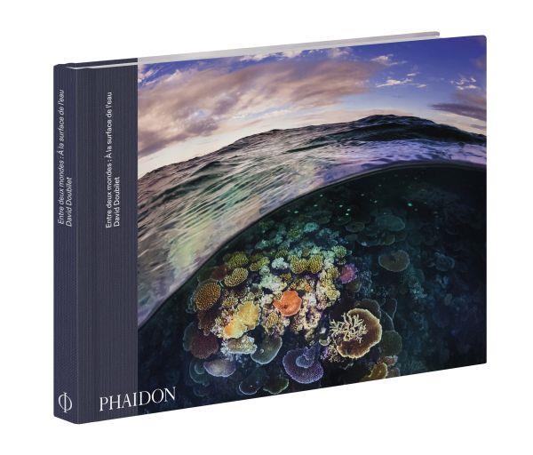 Entre deux monde. A la surface de l'eau