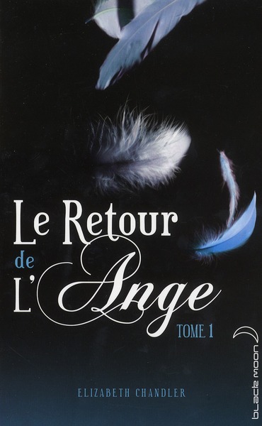 Le Retour de l'Ange Tome 1