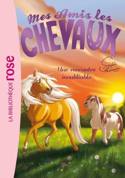 Mes amis les chevaux Tome 6 : Une rencontre inoubliable