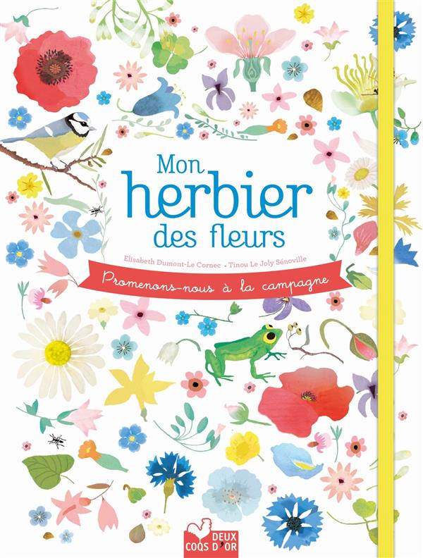 Mon herbier de fleurs. Promenons-nous à la campagne