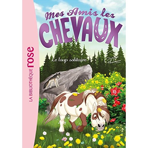 Mes amis les chevaux Tome 8 : Le loup solitaire