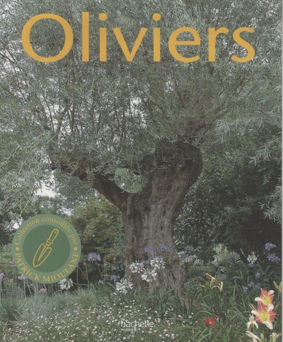 Oliviers / L'histoire et la culture de ces arbres de légende
