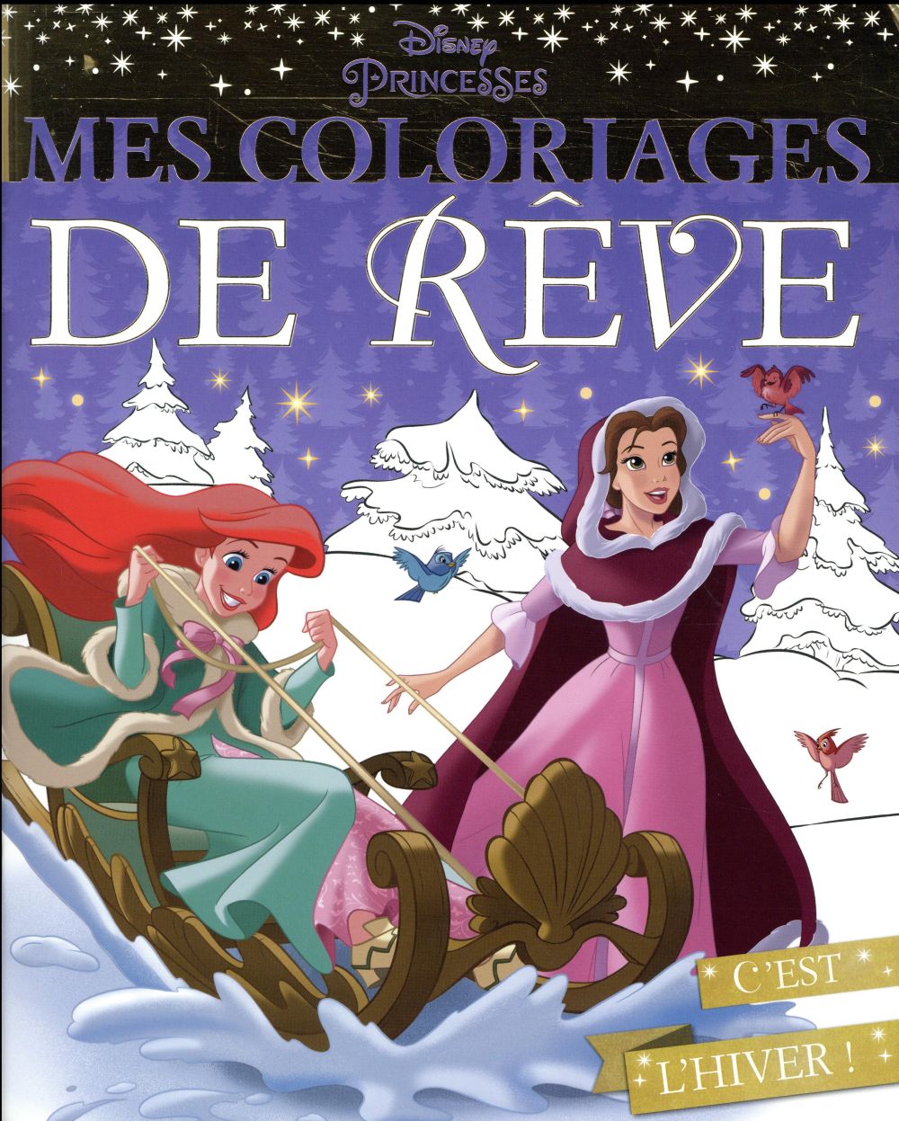 C'est l'hiver ! Disney Princesses