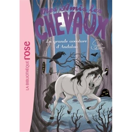 Mes amis les chevaux Tome 21 : La grande aventure d'Andalou