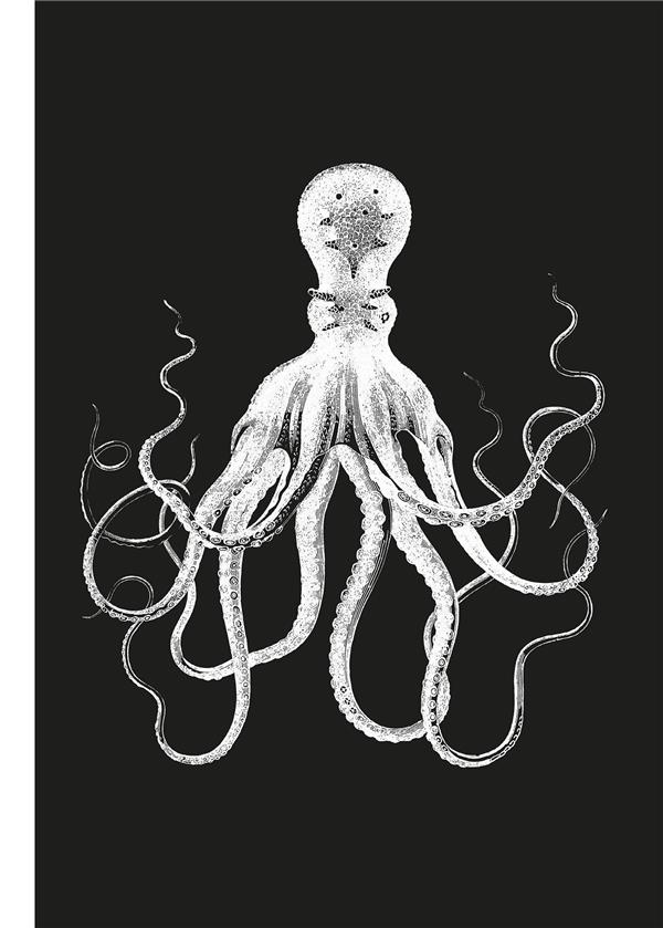 POULPE - NOUVELLE EDITION