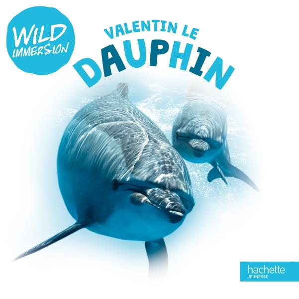 Valentin le Dauphin