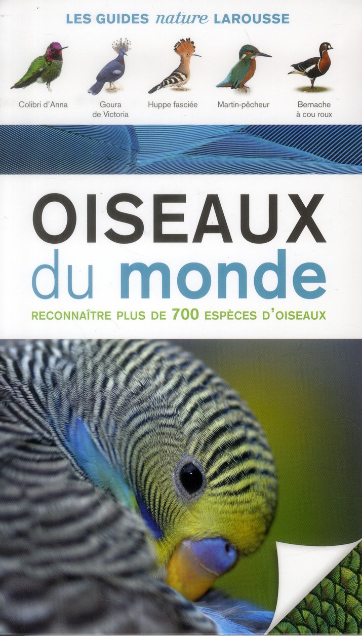 Oiseaux du monde
