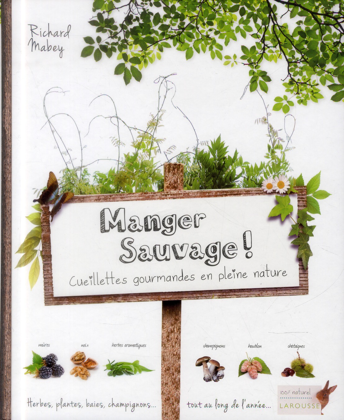 Manger sauvage ! Cueillettes gourmandes en pleine nature