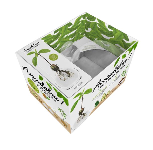 Avocadabra ! Laissez germer vos idées. Coffret avec un vase germoir design