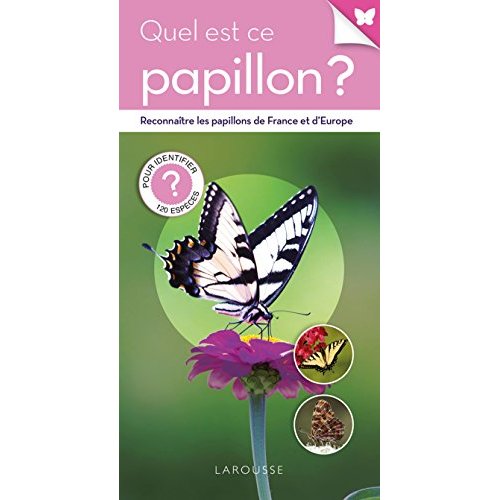 Quel est ce papillon ?