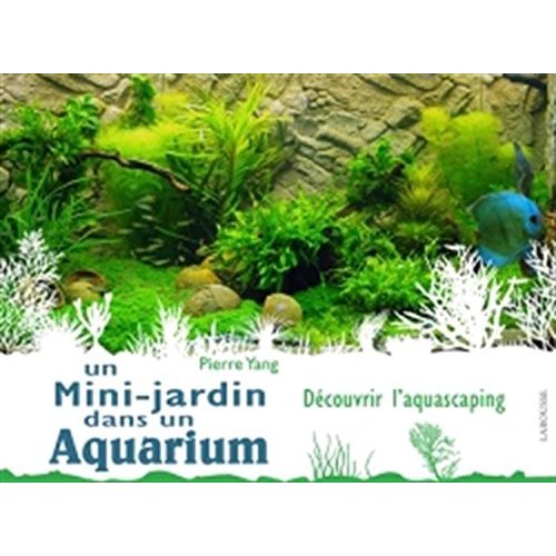 Un mini-jardin dans un aquarium