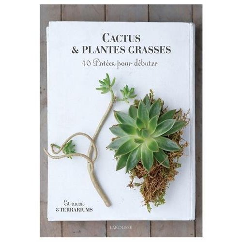 Cactus et plantes grasses. 50 compositions en pots