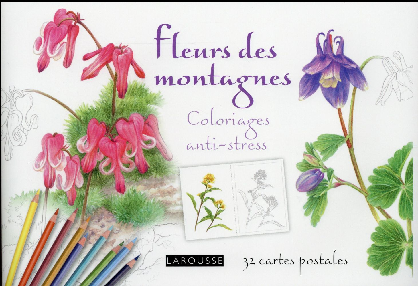 Fleurs de montagne. Coloriages anti-stess