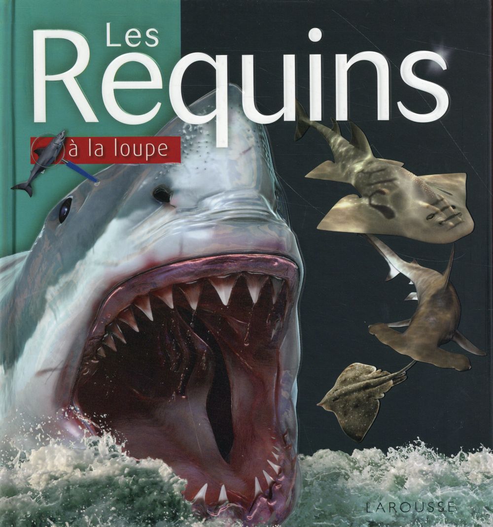 Les requins