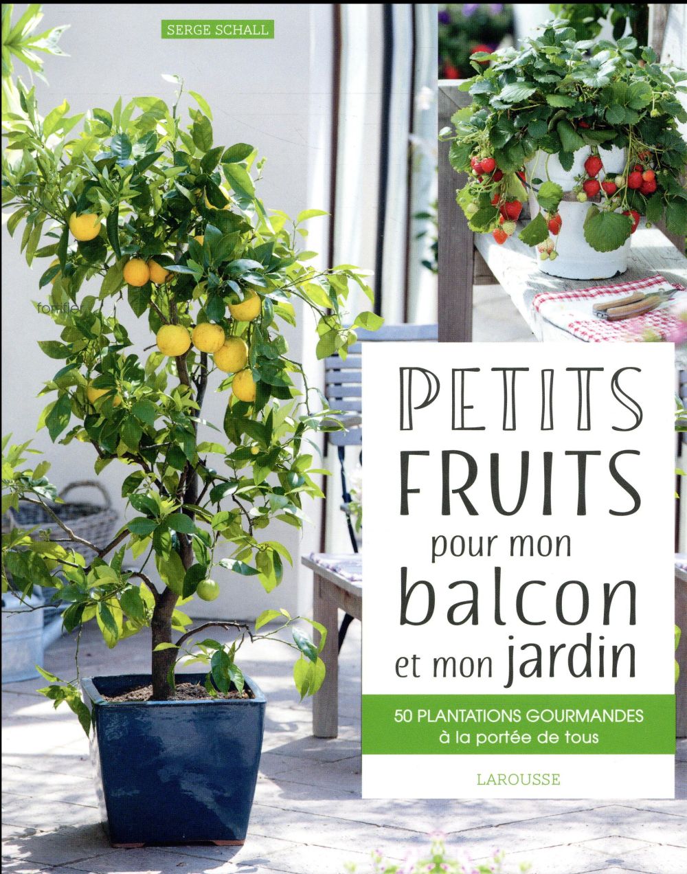 Petits fruits pour mon balcon et mon jardin. 50 plantations gourmandes à la portée de tous