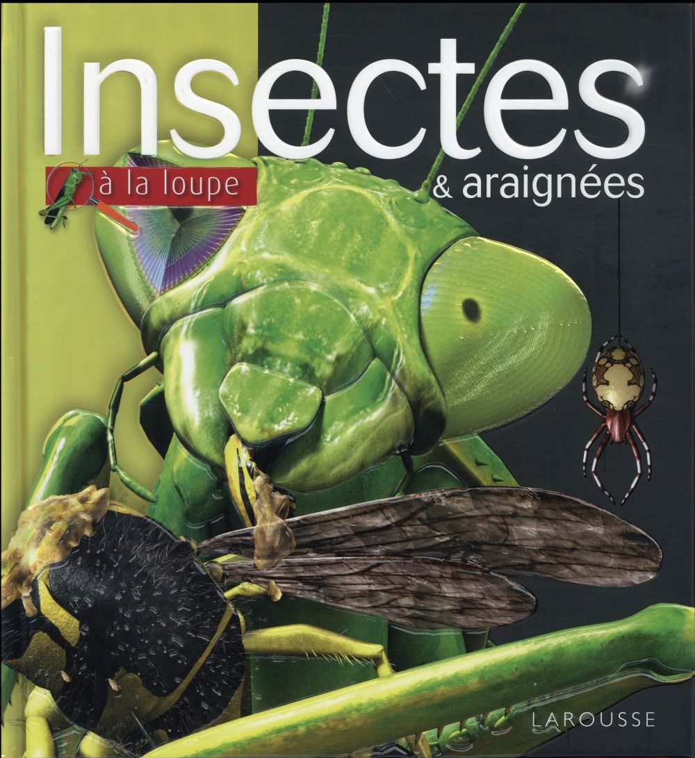 Insectes & araignées