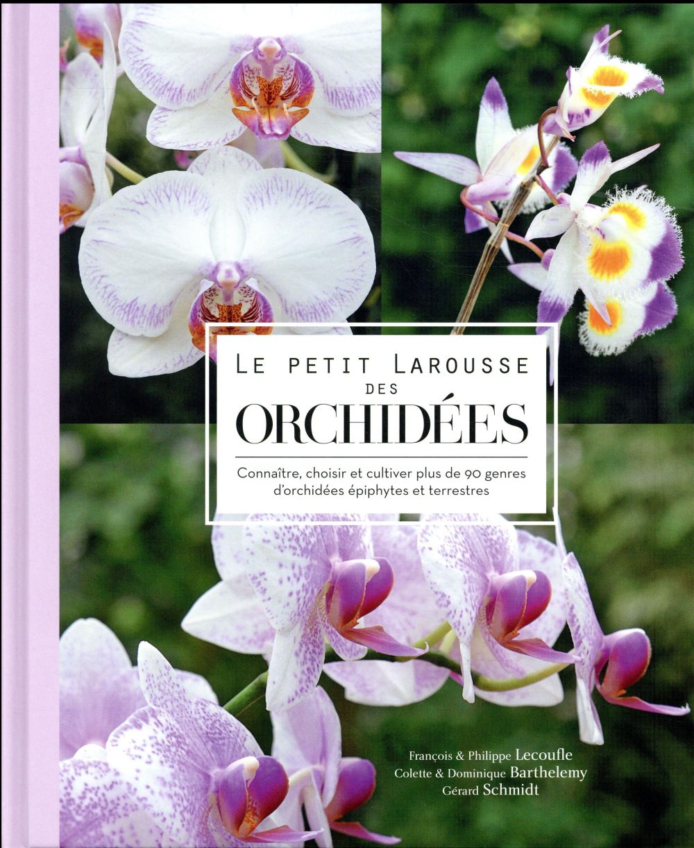 Le petit Larousse des orchidées. Connaître, choisir et cultiver plus de 90 genres d'orchidées épiphy