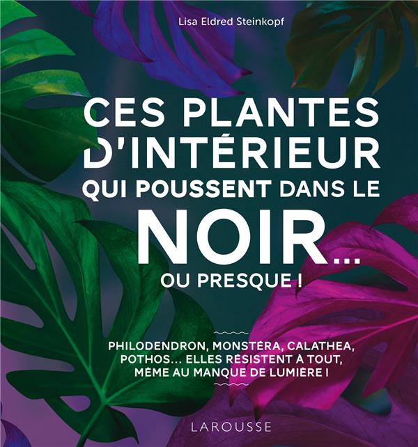 Ces plantes d'intérieur qui poussent dans le noir... ou presque. Bien choisir puis entretenir des pl
