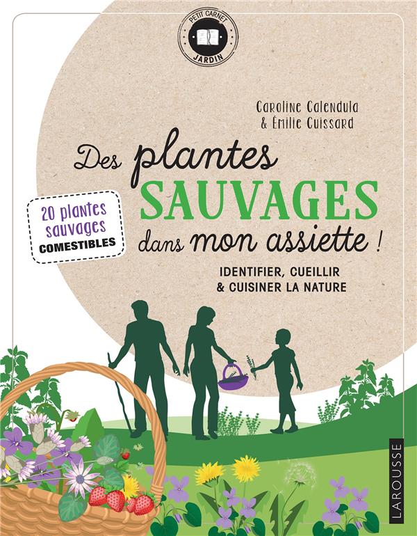 Des plantes sauvages dans mon assiette ! Identifier, cueillir & cuisiner la nature