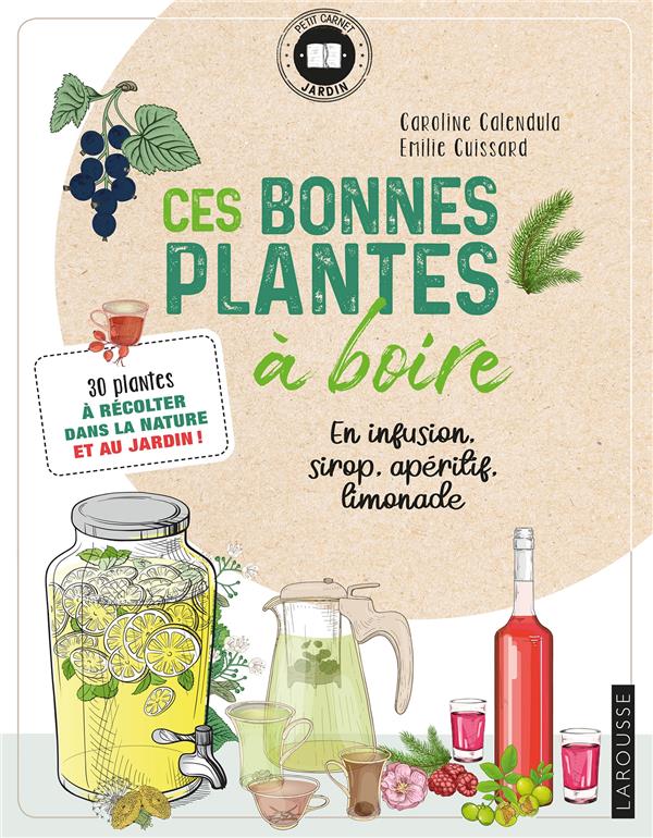 Ces bonnes plantes à boire. En infusion, sirop, apéritif, limonade