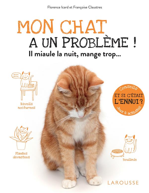 Mon chat a un problème ! Il miaule la nuit, mange trop...