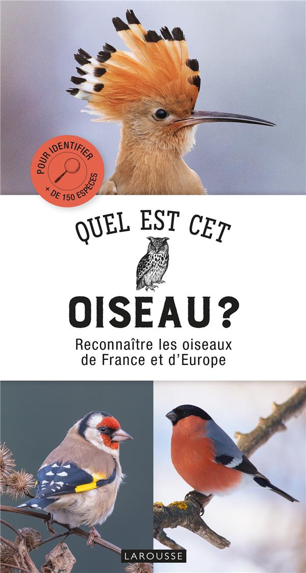 Quel est cet oiseau ?