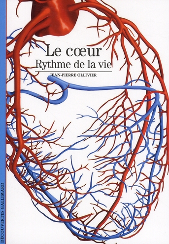 Le coeur. Rythme de la vie