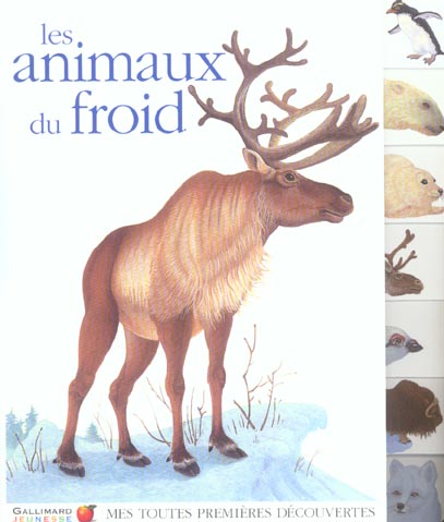 Les animaux du froid