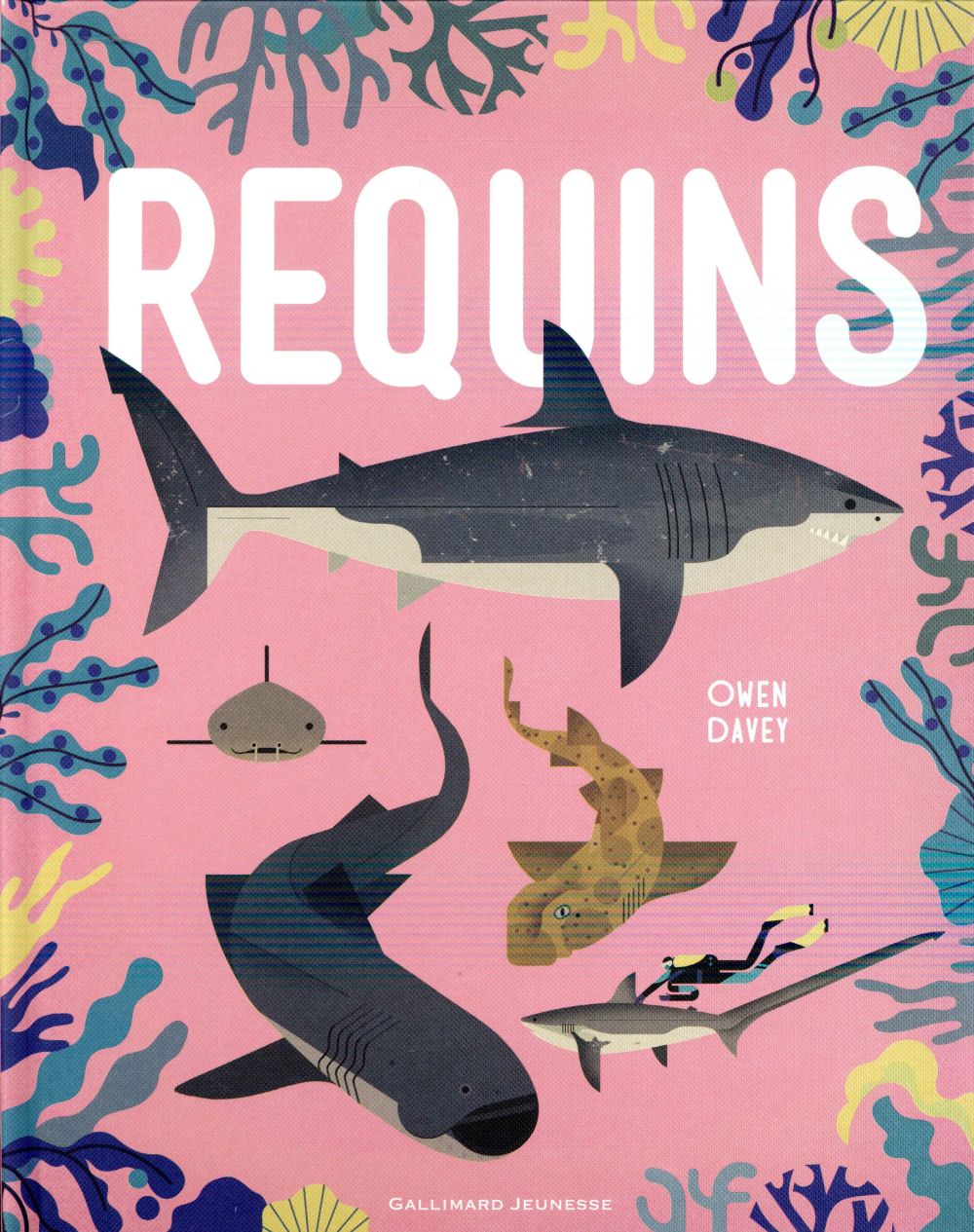 Requins