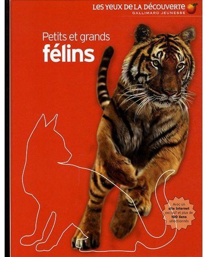 Petits et grands félins