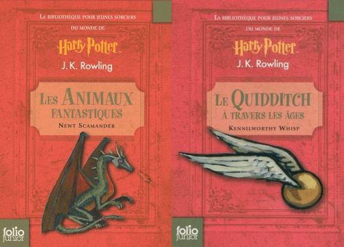 La bibliothèque pour jeunes sorciers du monde de Harry Potter. 2 volumes Le Quidditch à travers les