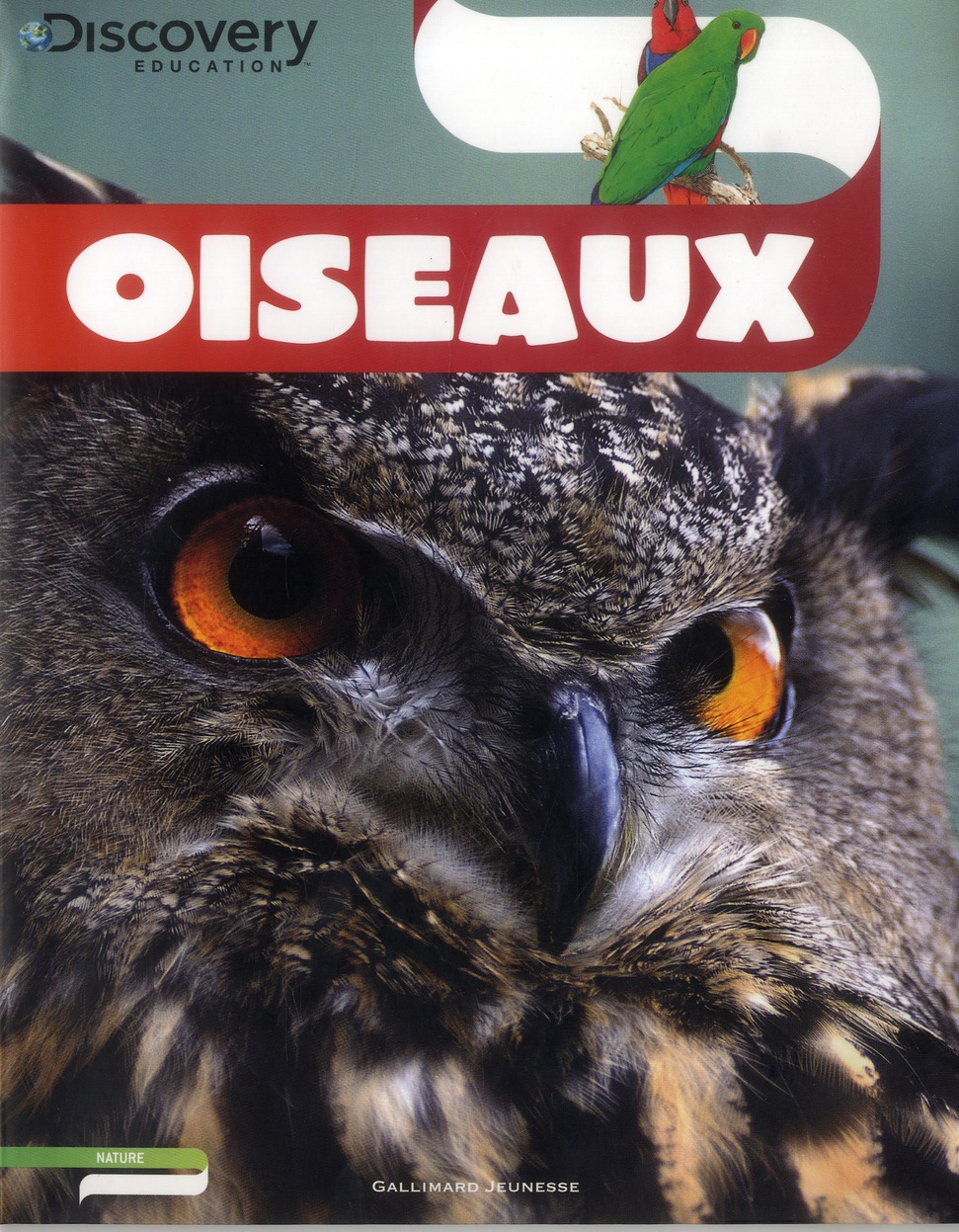 Oiseaux