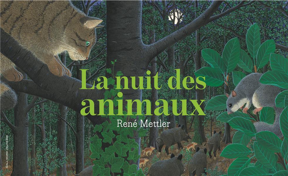La nuit des animaux