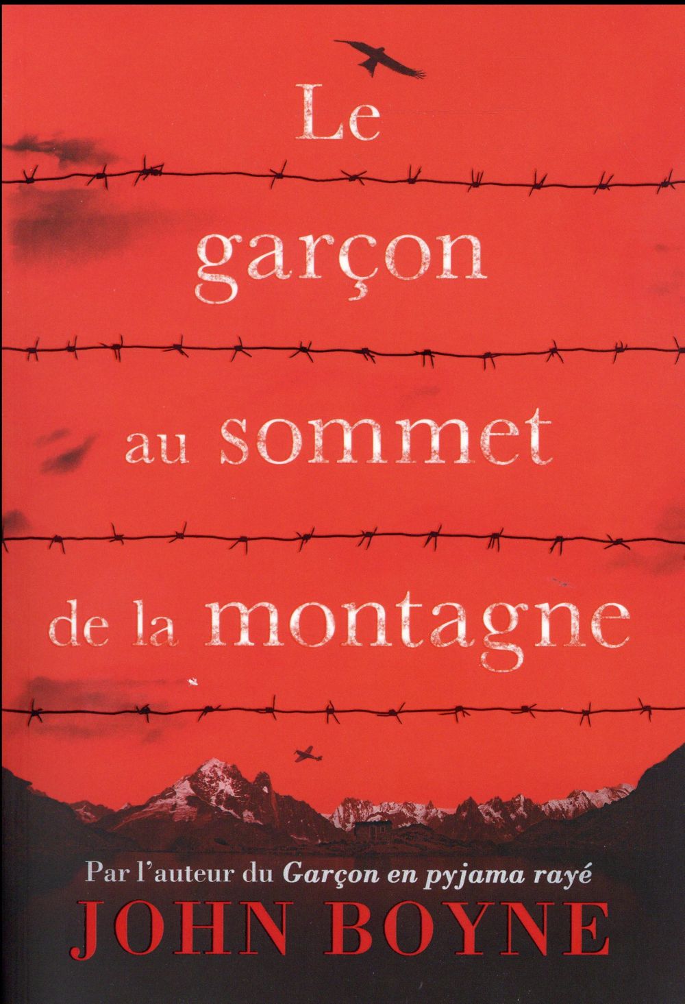 Le garçon au sommet de la montagne