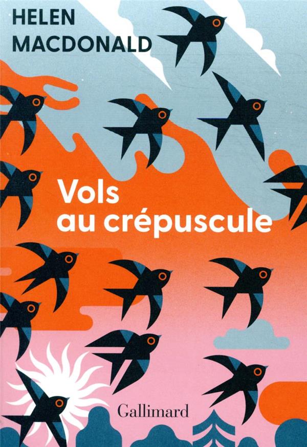 Vols au crépuscule