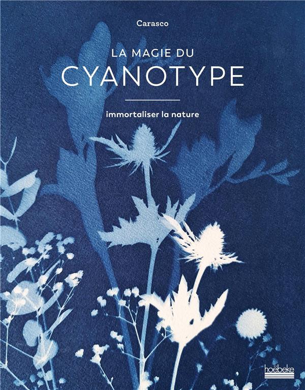 La magie du cyanotype. Immortaliser la nature