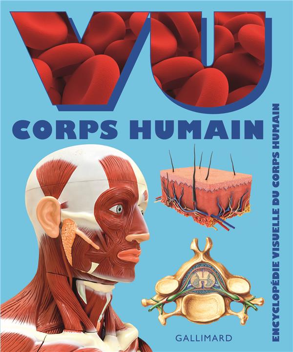 Corps humain