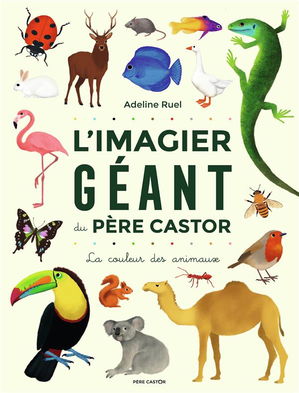 L'Imagier géant du Père Castor. La couleur des animaux