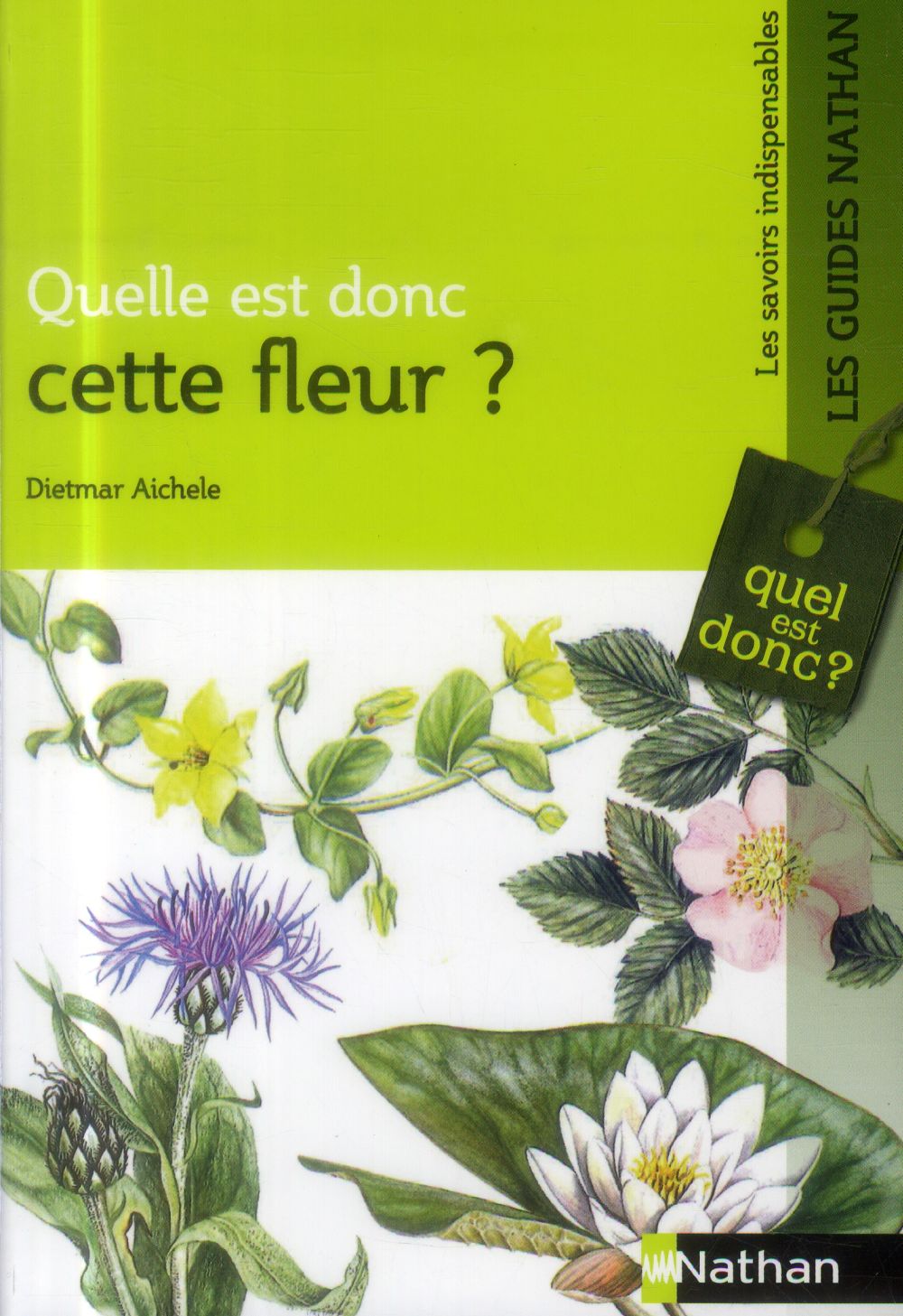 Quelle est donc cette fleur ?
