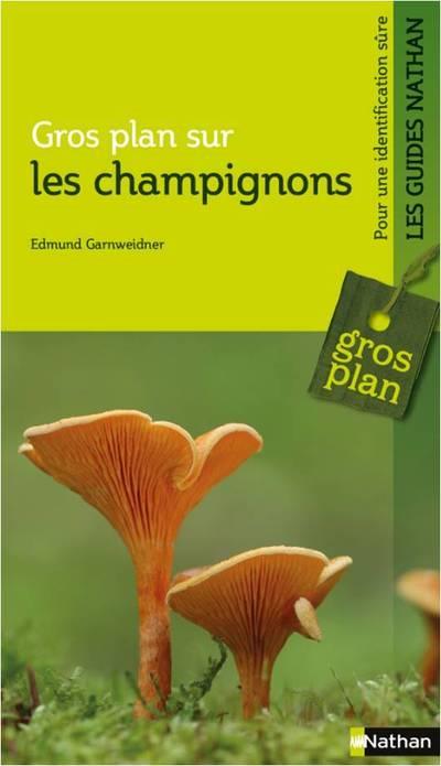 Gros plan sur les champignons