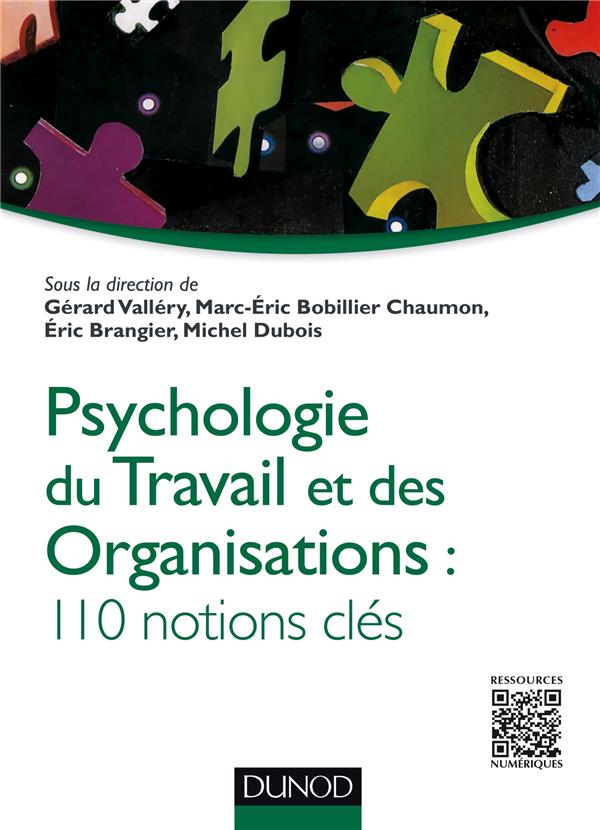 Psychologie du travail et des organisations: 110 notions clés