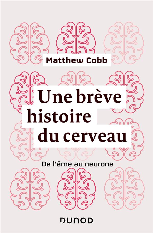 Une brève histoire du cerveau. De l'âme au neurone