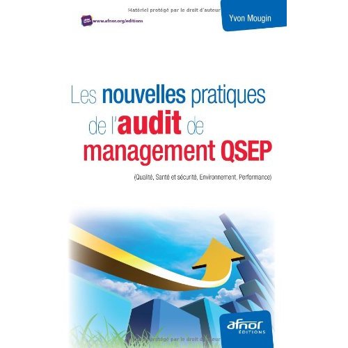 LES NOUVELLES PRATIQUES DE L AUDIT DE