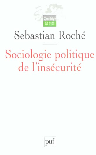 Sociologie politique de l'insécurité. Violences urbaines, inégalités et globalisation