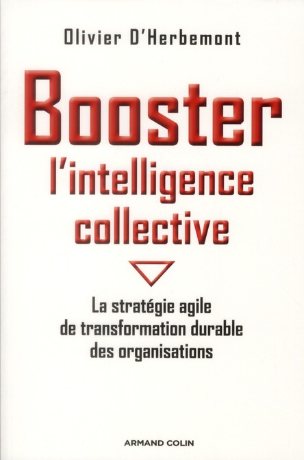 Booster l'intelligence collective. La stratégie agile de transformation durable des organisations