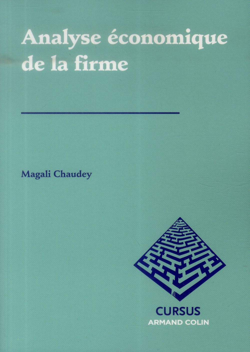 Analyse économique de la firme