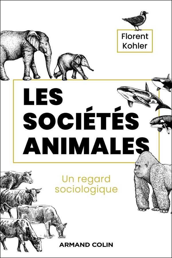 Les sociétés animales. Un regard sociologique