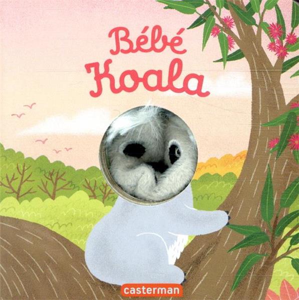 Bébé Koala